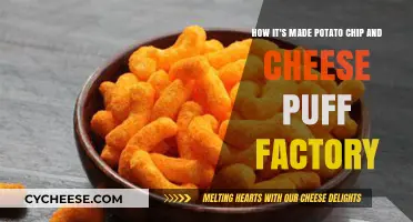 Unveiling the Secrets: From Spud to Snack: The Potato Chip and Cheese Puff Factory Tour