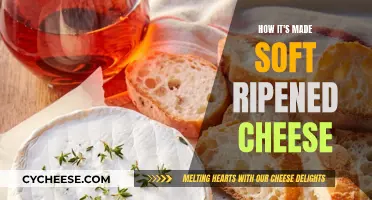 Soft Ripened Cheese: Crafting a Creamy Delicacy