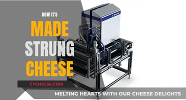 The Making of Strung Cheese: A Step-by-Step Guide