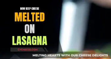 Keep Your Lasagna Cheesy: Tips for Melted Goodness