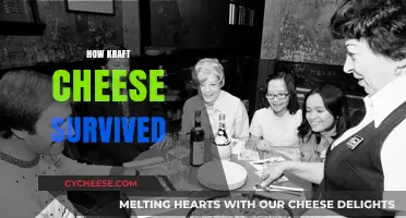 How Kraft Cheese Endured: A Legacy of Innovation and Resilience