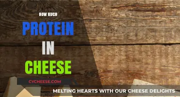 Cheese Protein Content: Uncovering the Nutritional Value in Every Bite