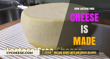 Lactose-Free Cheese: Unveiling the Magic Behind the Process