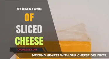 Understanding the Standard Size of a Square Sliced Cheese Portion