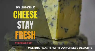 Blue Cheese: Keeping It Fresh and Flavorful for Longer