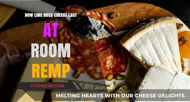 Cheese Shelf Life: How Long Does Cheese Last at Room Temperature?
