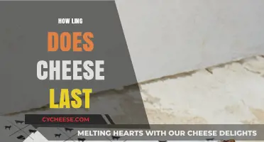 Cheese Shelf Life: How Long Does Cheese Last in Your Fridge?