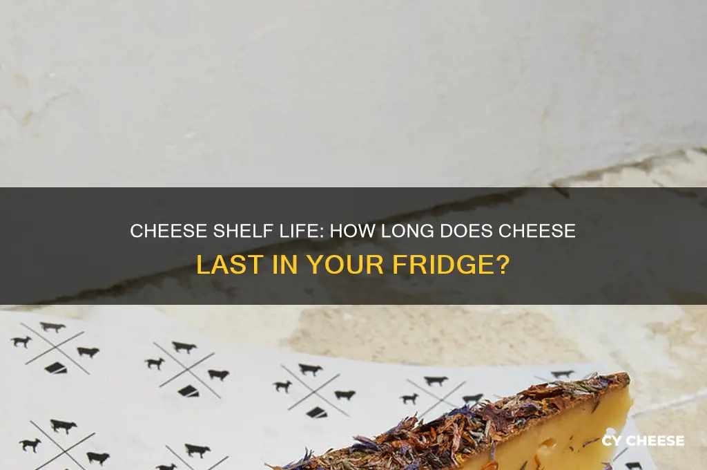 how ling does cheese last