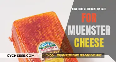 Best-By Dates for Muenster Cheese: How Long Does it Last?