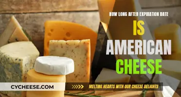 American Cheese: Safe Consumption After Expiry Dates