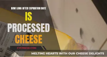 Cheese Conundrum: Expired Processed Cheese and Food Safety