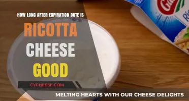 Ricotta Cheese Shelf Life: How Long After Expiration is it Safe?