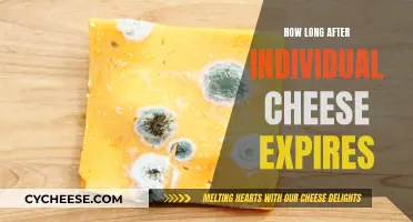 Cheese Expiration: How Long Can You Keep Individual Cheese?