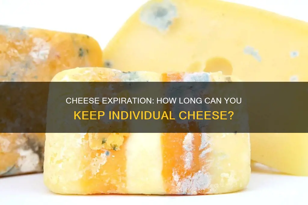 how long after individual cheese expires