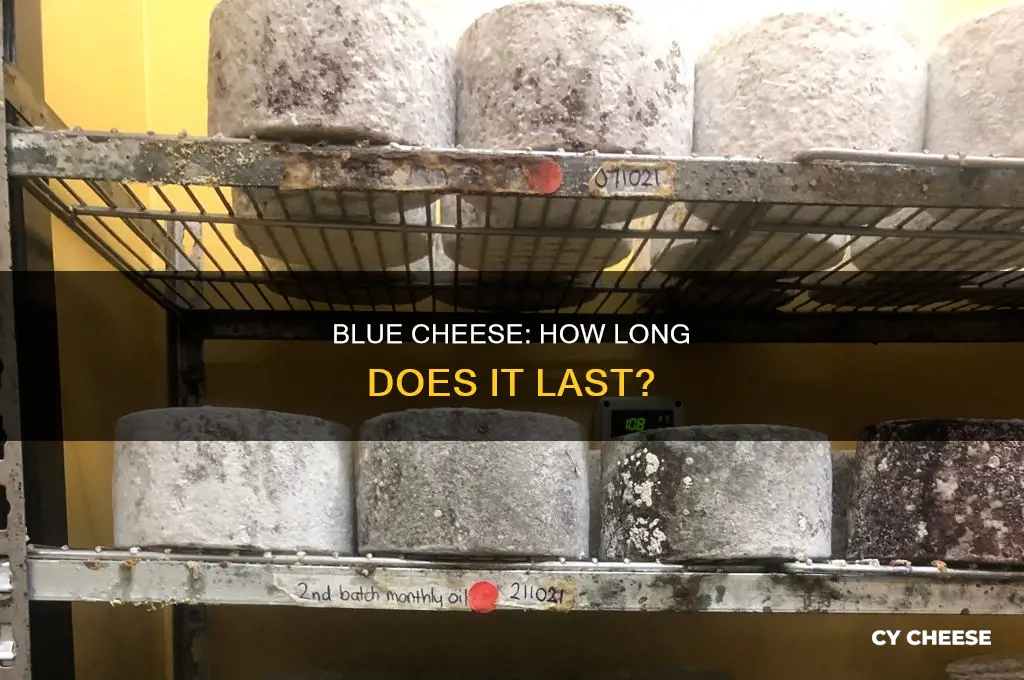 how long after opening blue cheese is it good for