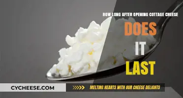 Cottage Cheese Shelf Life: How Long Does It Last After Opening?