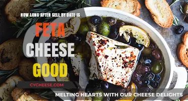 Feta Cheese: How Long Does It Last Past Its Date?