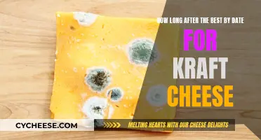 Cheese Expiration: Kraft's Best-By Dates and Beyond