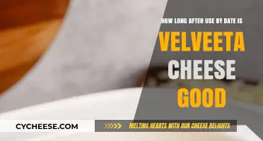 Velveeta Cheese: How Long Does It Last Past Its Date?