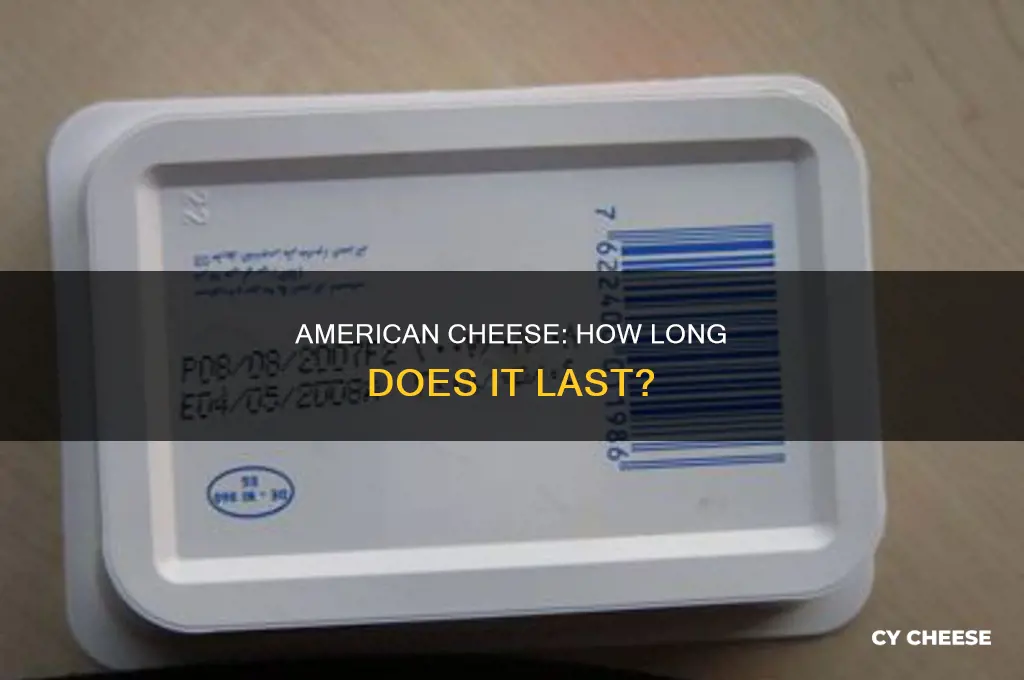 how long american cheese good for