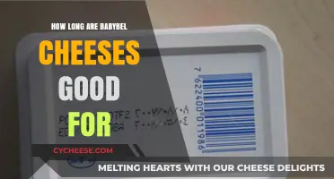 Babybel Cheeses: How Long Do They Last?