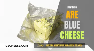 Blue Cheese: How Long Does It Last?