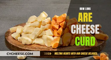 Cheese Curd Longevity: How Long Do They Last?