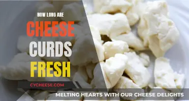 Cheese Curds: Freshness and Shelf Life Explored