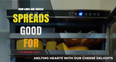 Cheese Spreads: How Long Do They Last?
