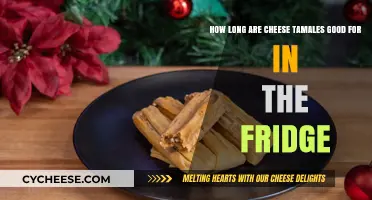 Cheese Tamales: How Long Do They Last?