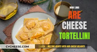 Cheese Tortellini: Cooking Time and Perfecting the Pasta Dish