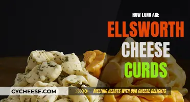 The Best Time to Enjoy Ellsworth Cheese Curds