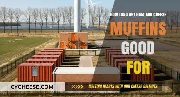 Fresh Ham and Cheese Muffins: How Long Do They Last?