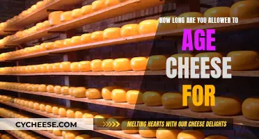 Aging Cheese: How Long Before It's Too Long?