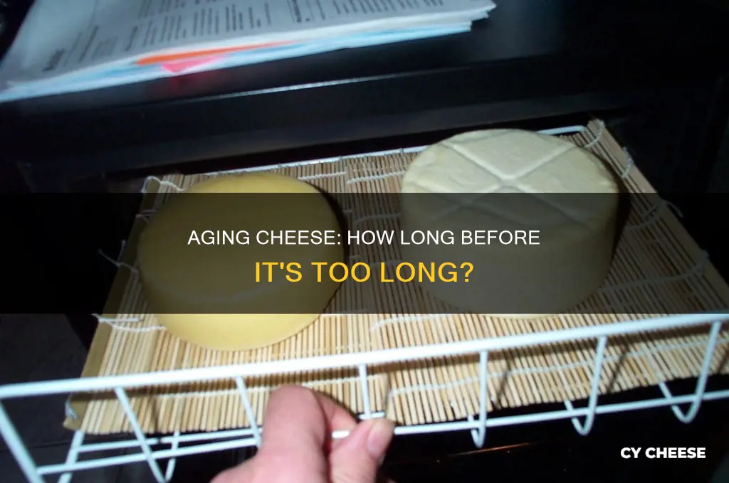 how long are you allowed to age cheese for