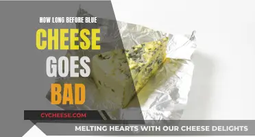 Blue Cheese: How Long Does It Last?