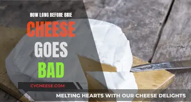 Brie Cheese: How Long Does It Last?