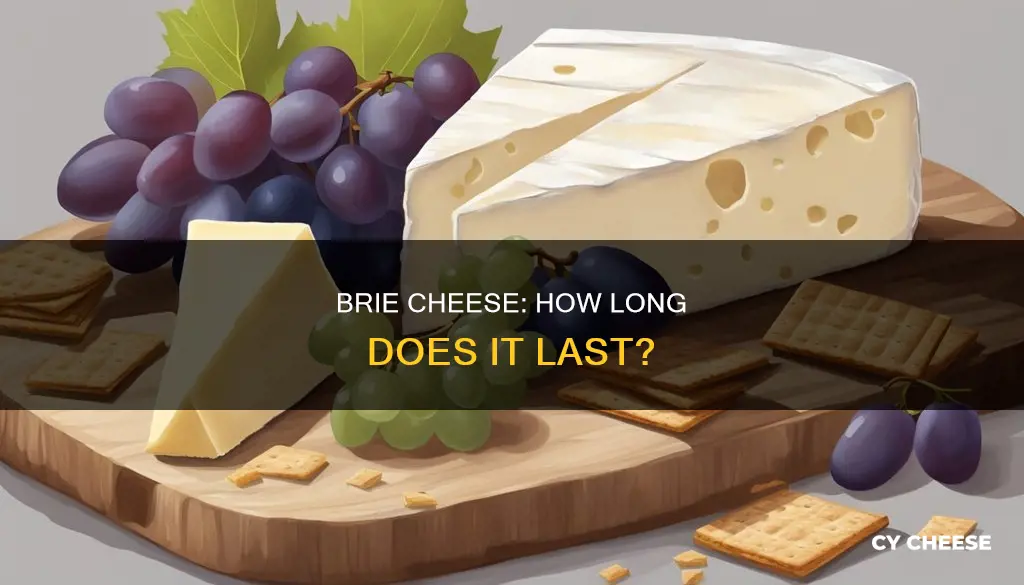 how long before brie cheese goes bad