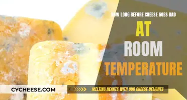 Cheese's Room Temperature Lifespan: How Long is Too Long?