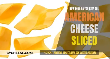 Storing Deli American Cheese Slices: How Long is Too Long?