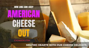 American Cheese: How Long Can You Keep It Unrefrigerated?