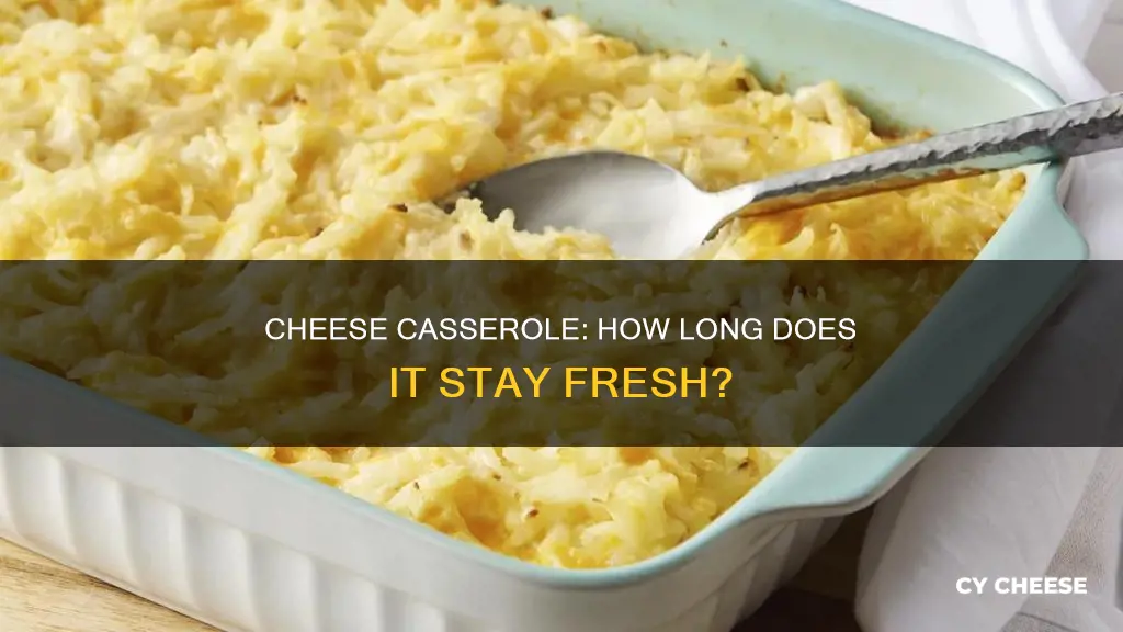 how long cheese casserola lasts