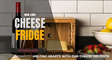 Cheese Storage: How Long Does It Last?