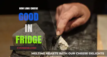 Cheese Lifespan: How Long Does it Last?