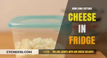 Cottage Cheese Shelf Life: How Long Does It Last in Fridge?