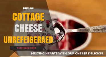 How Long Can Cottage Cheese Sit Unrefrigerated Safely?