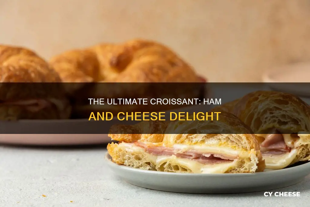 how long croissant ham and cheese