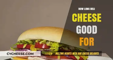 Deli Cheese: How Long Does It Last?