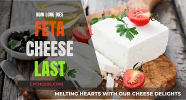 The Feta Cheese Conundrum: How Long Does It Really Last?