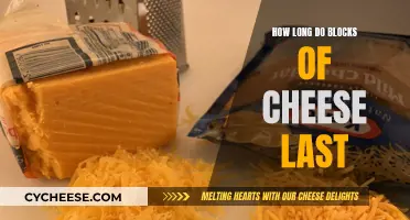 Cheese Blocks: How Long Do They Stay Fresh?